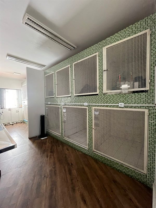 Sala de internação da Clínica Veterinária São CãoMilo